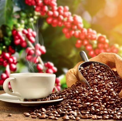 Hawaiian Isles Coffee Hazelnut Flavored, Light Roast Ground Coffee, Roasted with Aloha - 8 Ounce Bag