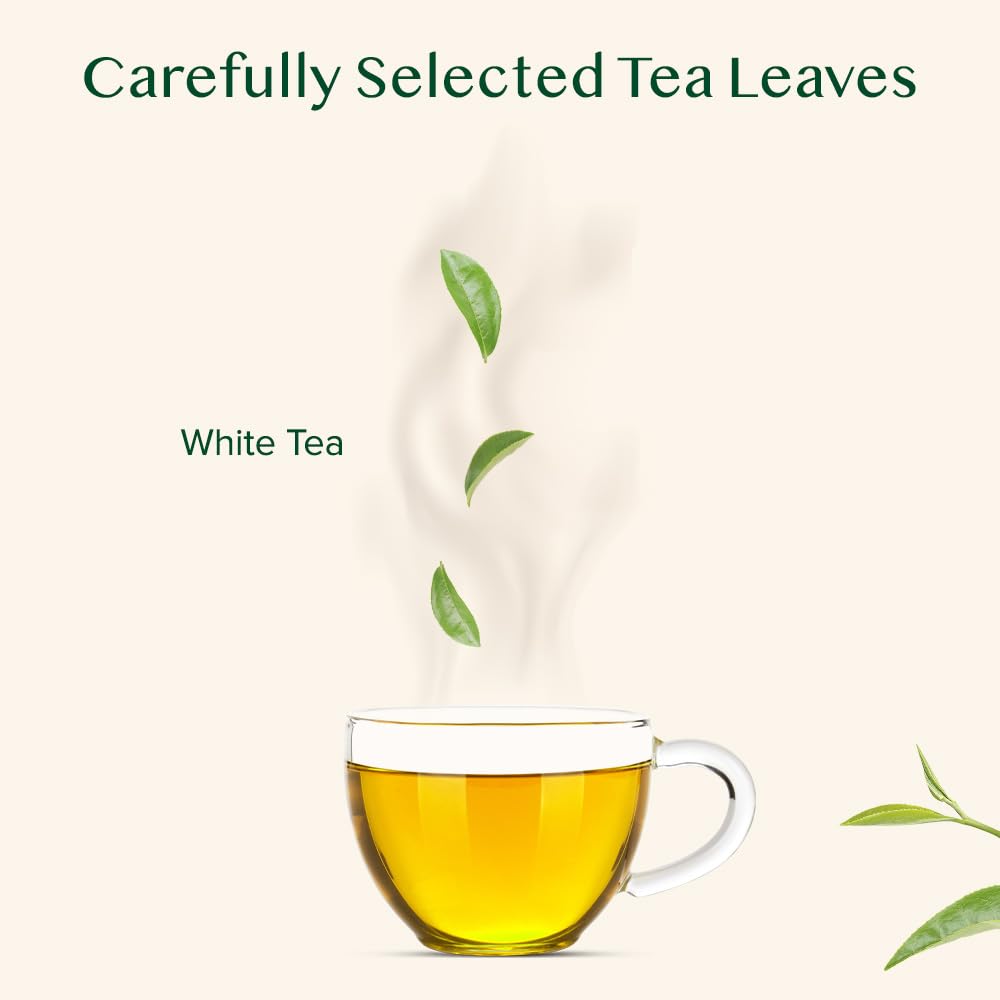 VAHDAM, Imperial White Tea Leaves From Himalayas (25 Cups/1.76oz) High Elevation Grown, White Tea Loose Leaf Tea | Pure Unblended Loose Leaf Tea | Vacuum Sealed