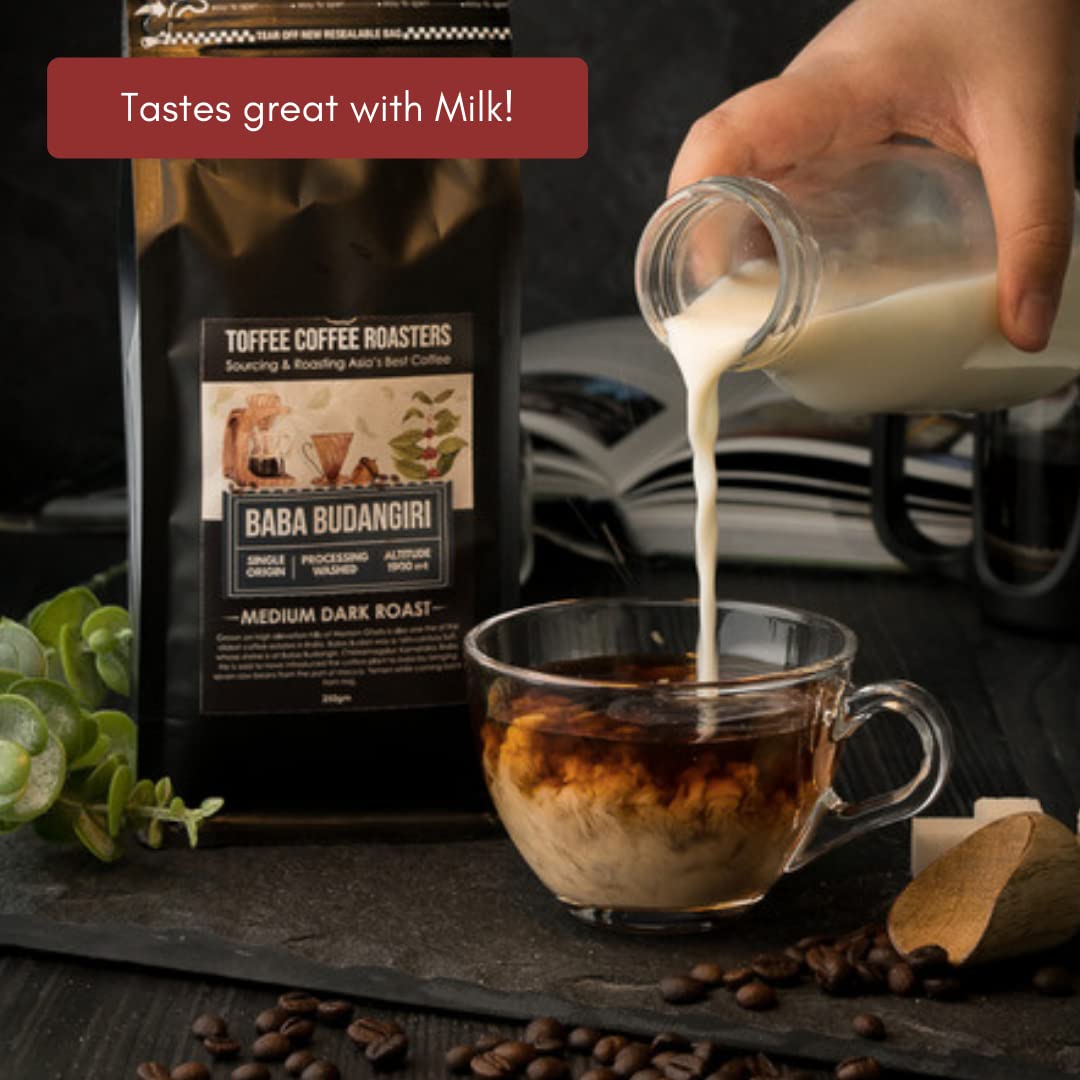 Toffee Coffee Roasters | Baba Budangiri Coffee | Finest Indian Specialty Coffee |100% Arabica Medium Dark Roast Grind: French Press | Coffee Notes: Toasted Nuts, Earthy and Dark Chocolate - 9 oz (250g)