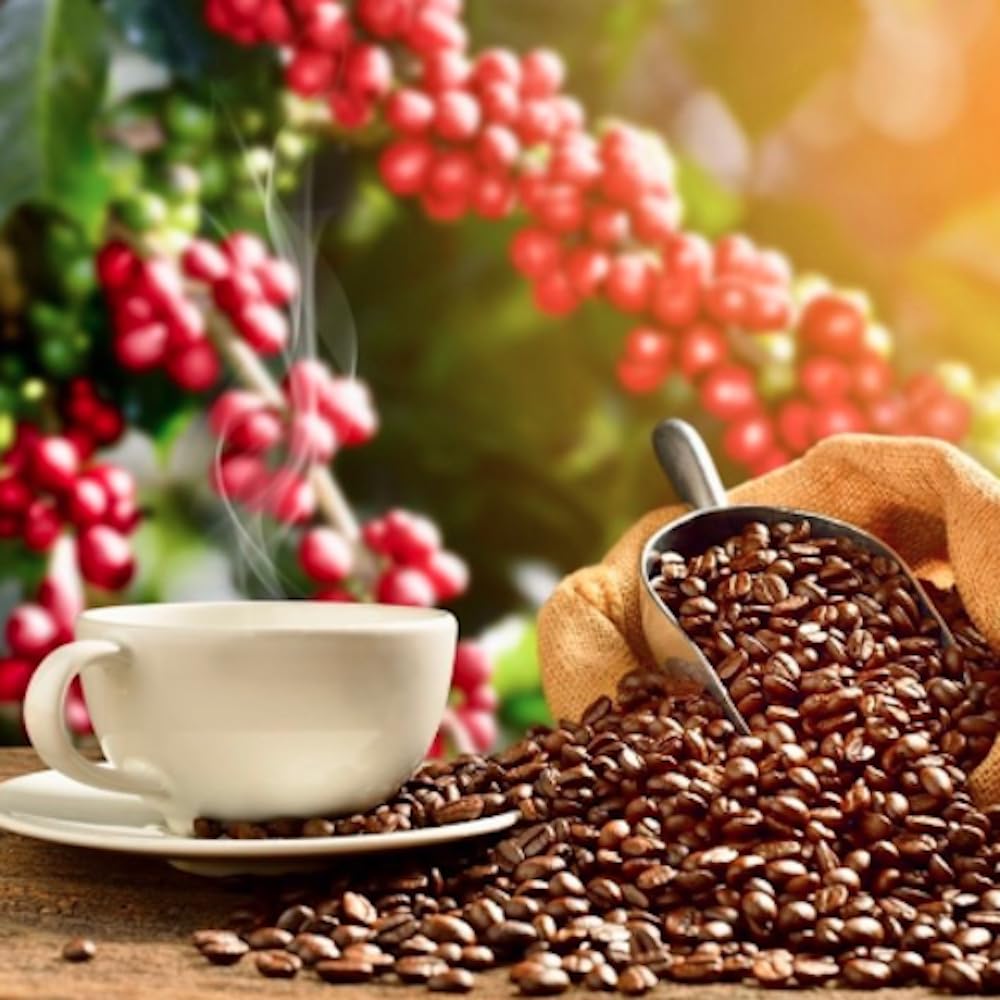 Lion Coffee French Roast, Dark Roast Ground Coffee, A Taste of Aloha - 10 Ounce Bag