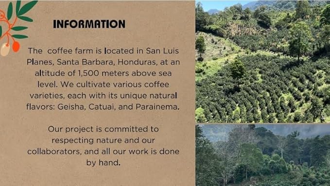 Café La Meche Honduran Ground Coffee 16 Ounces Geisha Exotic Coffee Variety