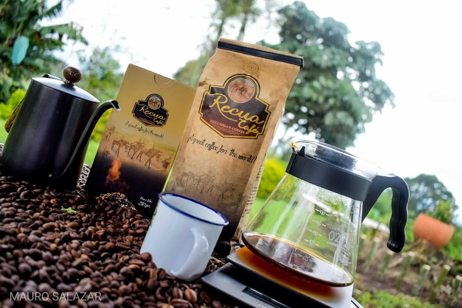 Recua Colombian Coffee - Colombian Whole Bean Coffee, Castillo Variety, Honey Process, Medium Roast, 340g Grown at 1500m in Filandia Quindío Colombia