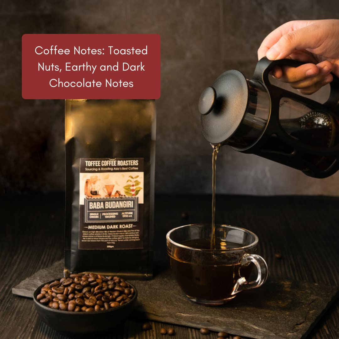 Toffee Coffee Roasters | Baba Budangiri Coffee | Finest Indian Specialty Coffee |100% Arabica Medium Dark Roast Grind: French Press | Coffee Notes: Toasted Nuts, Earthy and Dark Chocolate - 9 oz (250g)