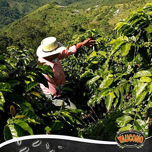 Yaucono Ground Coffee Bagged, 14 Ounce (Pack of 13)