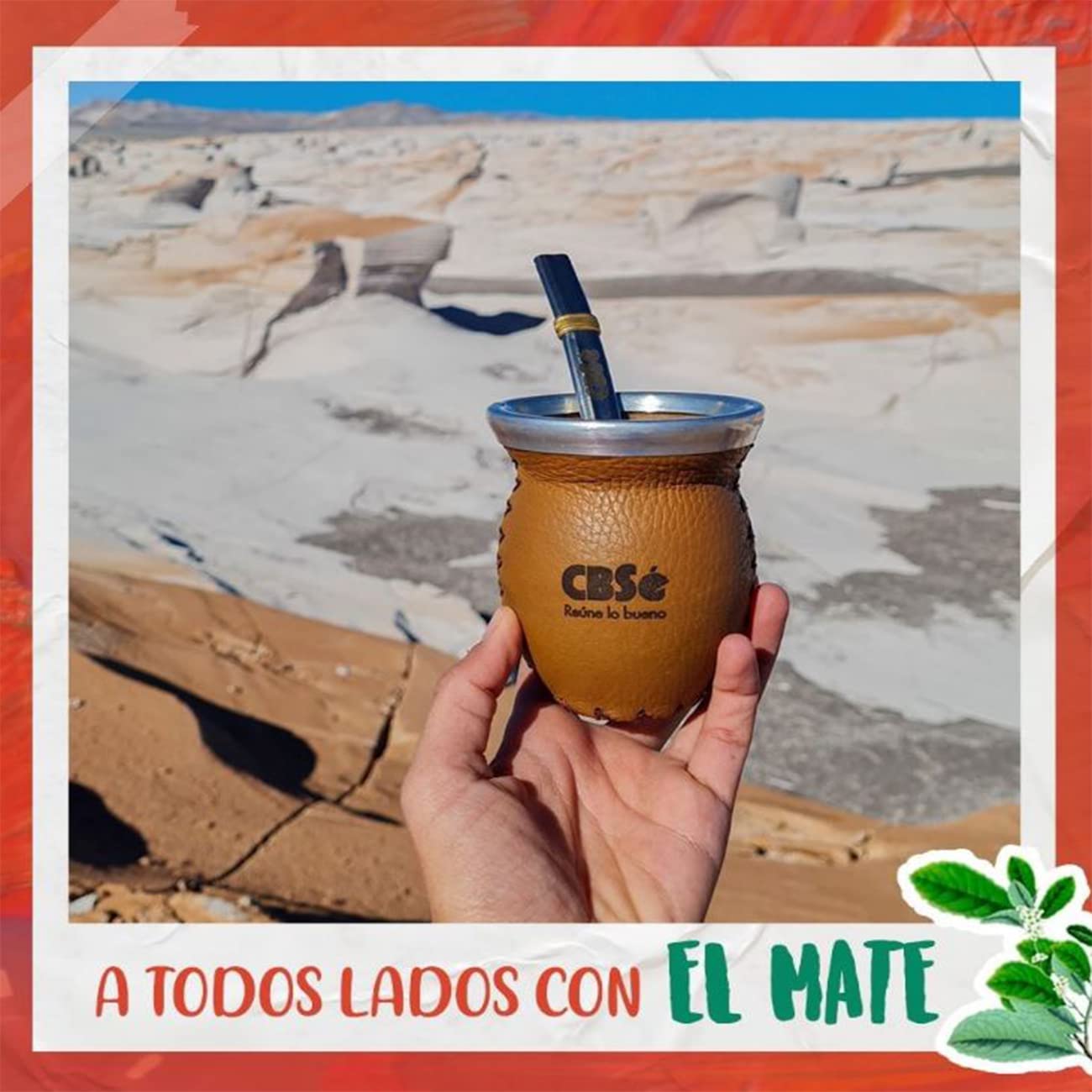 YERBA MATE CBSE ORANGE FLAVOR - SABOR NARANJA 500 GR/1.1 LB (2PACK)