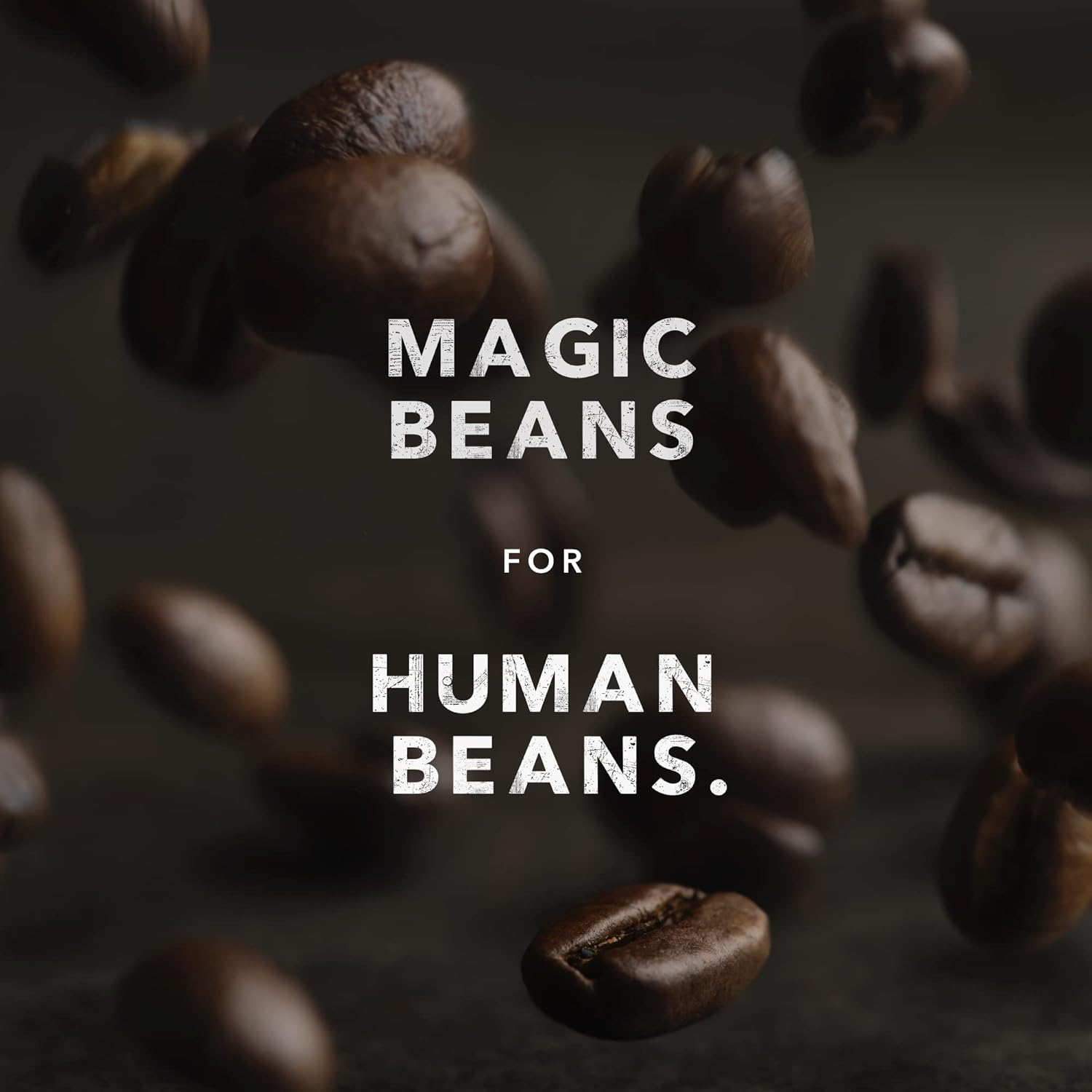 Kicking Horse Coffee Smart Ass, Medium Roast, Ground, Certified Organic, Fairtrade, Kosher, Black,284 g (Pack of 6)