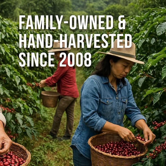 Don Memo Dark Roast Ground Coffee – 12 oz, 100% Arabica, Single Origin from Honduras, Fresh Roasted