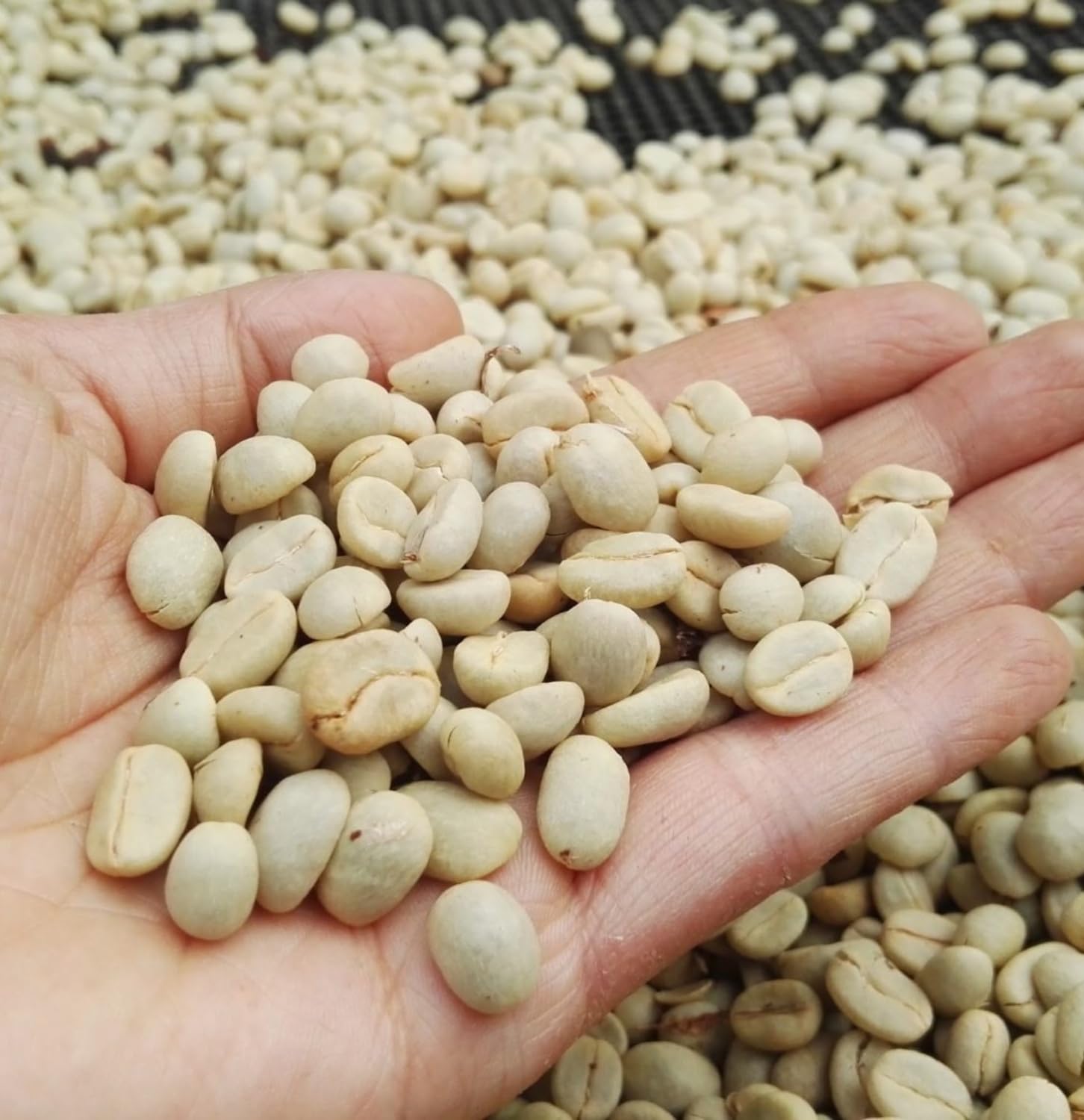 Black Tucano Specialty Coffee - Brazilian Ground Medium Roast Coffee - Single Origin Ground Coffee - 8.8 Ounces 250 Gr