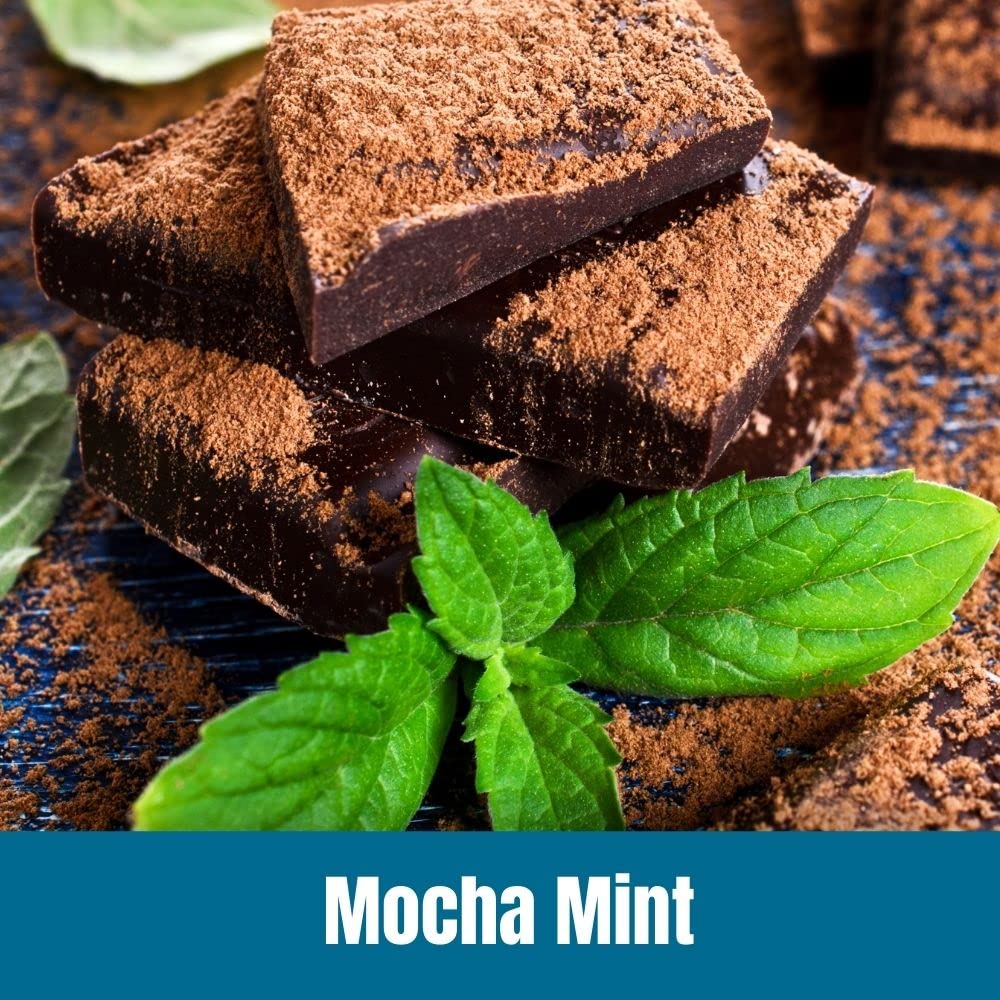 Door County Mocha Mint Whole Bean Coffee | 10 oz Bag | Medium Roast | 100% Specialty Arabica | Gourmet Whole Bean Coffee