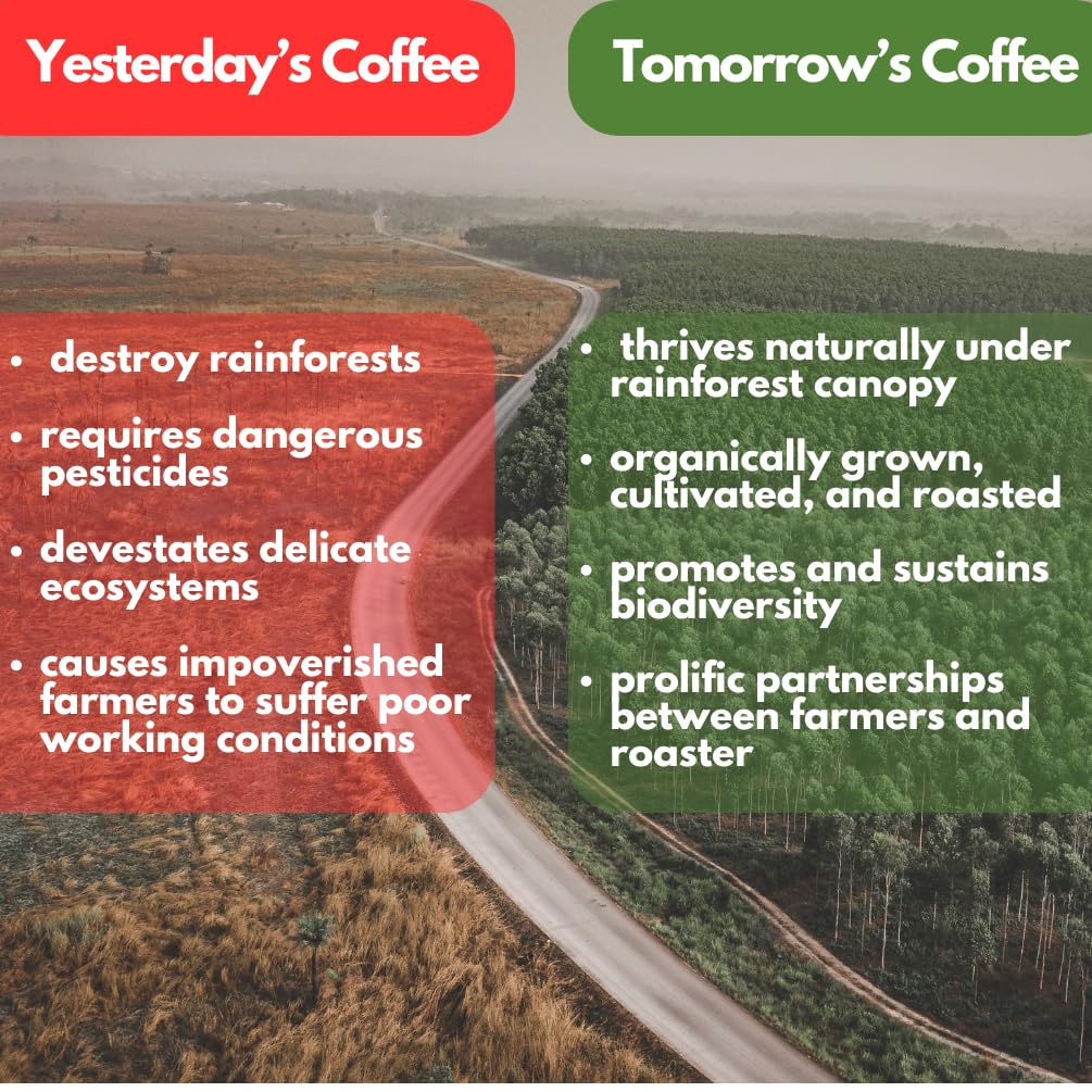Tomorrow's Coffee Organic, Smithsonian Bird Friendly Certified, Fair Trade, Shade Grown Coffee, Dark French Roast with chocolate flavor | Sustains Amazon Rainforest, Compostable Bag, Eco-Friendly Packaging (1 lb., whole bean)