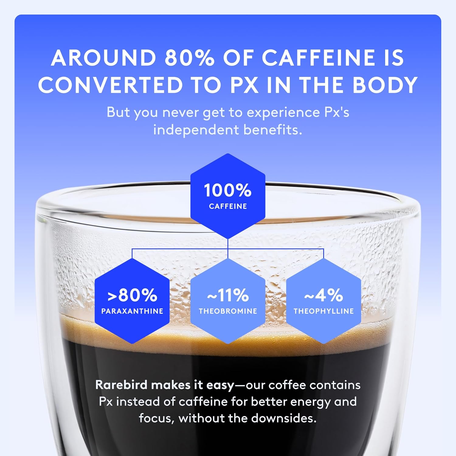 Rarebird Px Coffee – Award-Winning Dark Roast with Paraxanthine | Low Acid Single-Origin Decaf Coffee | Smoother Energy, Enhanced Focus, Better Sleep | Ground, 12oz (56 Servings)