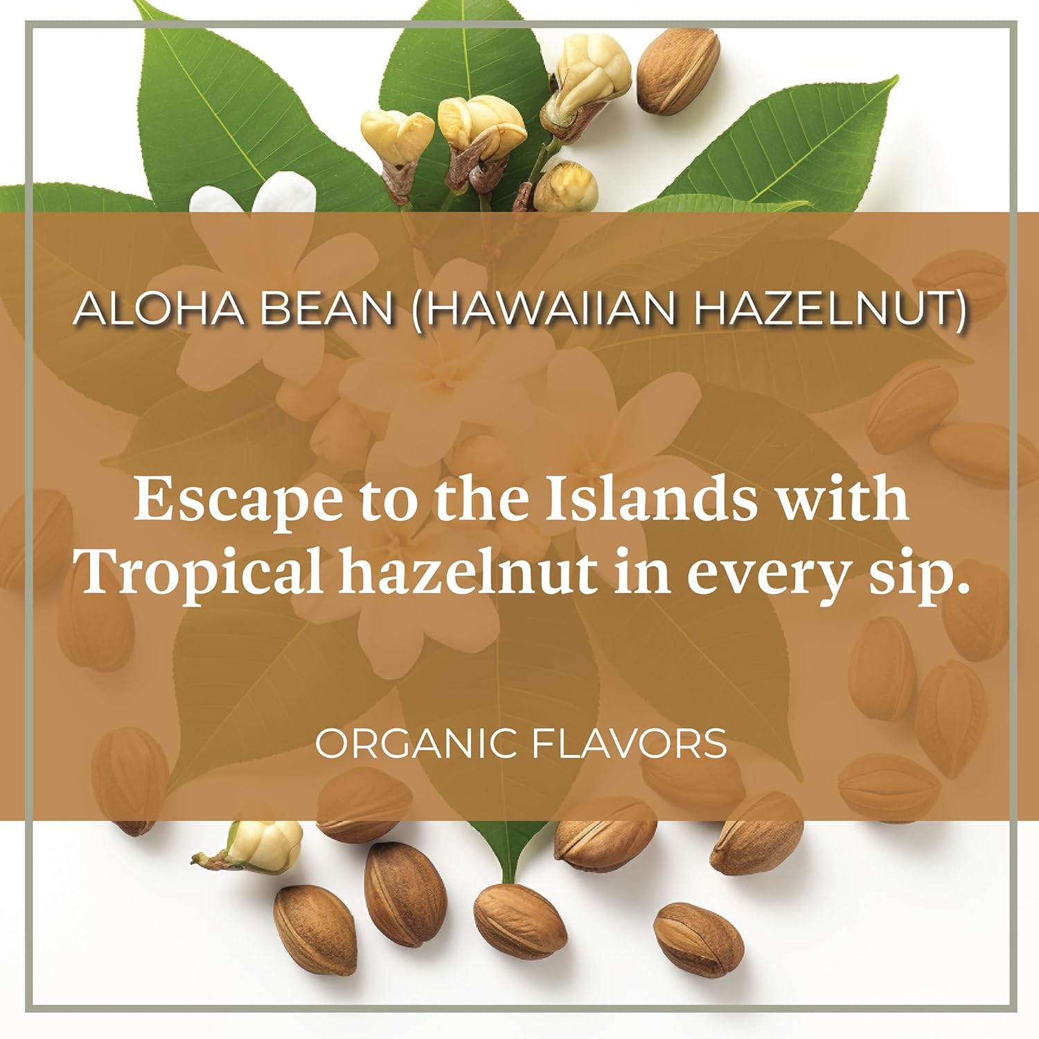 The Bean Organic Coffee Company Aloha Bean (Hawaiian Hazelnut) and Vanilla Bean, Medium Roast, Ground Coffee, 16-Ounce Bag,Café molido tostado organico