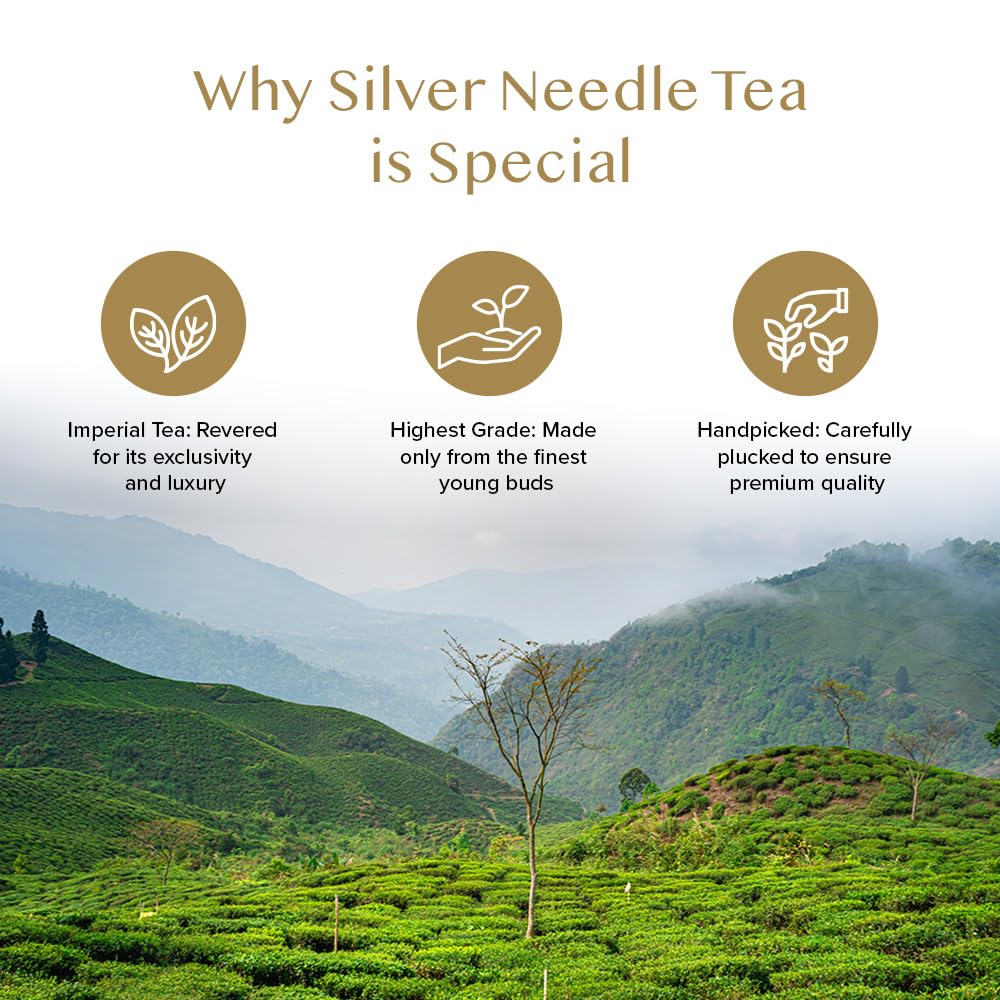 VAHDAM, Imperial White Tea Leaves From Himalayas (25 Cups/1.76oz) High Elevation Grown, White Tea Loose Leaf Tea | Pure Unblended Loose Leaf Tea | Vacuum Sealed