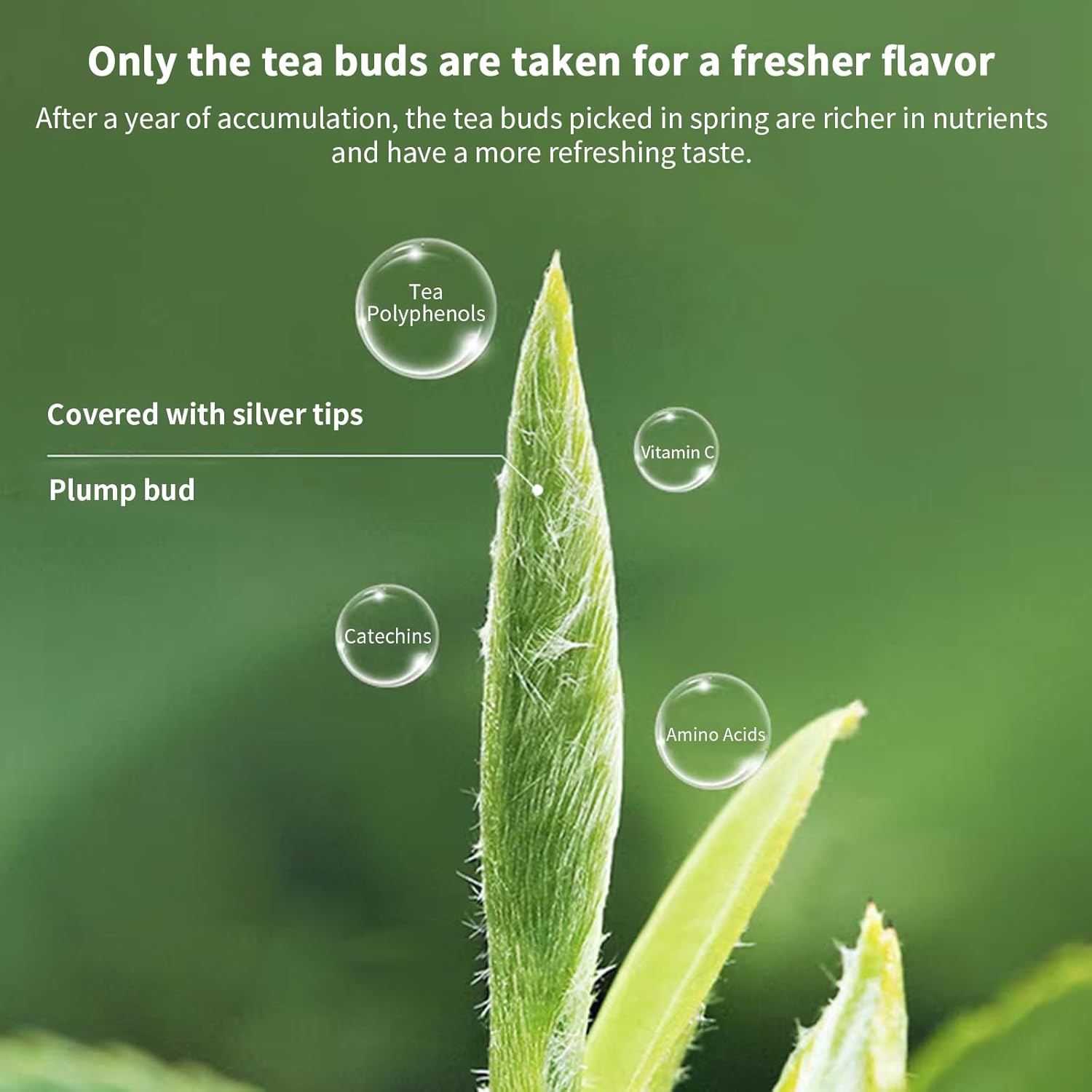 Yuexi White Tea Bai Hao Yin Zhen White Tea Loose Leaf 白毫银针 白茶 100g/3.52oz