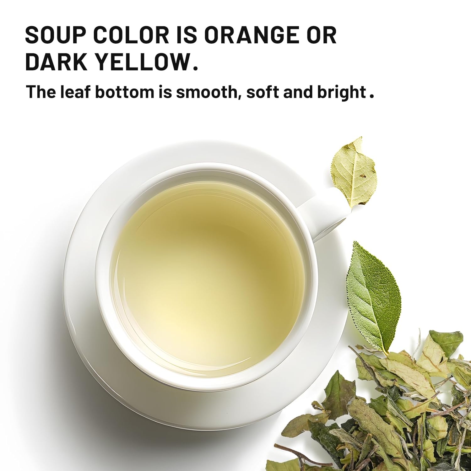 iTeaworld Gongmei White Tea 2024 Spring Harvest - Premium Chinese Tea from Fuding Fujian, Low Caffeine Multiple Steeping, Smooth Mellow Taste - Perfect for Daily Drinking & Relaxation - Ideal for Tea Enthusiasts 1 Pack(1.76oz)
