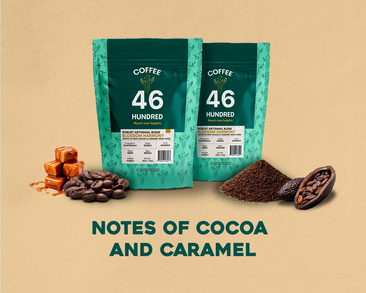 COFFEE 46 HUNDRED® Robust Artisanal Blend Ground Bean Specialty Coffee from Guatemala - 100% Arabica Single Origin - Dark Roast - 311g/11oz - High Altitud Coffee - Grown at 4,600 ft