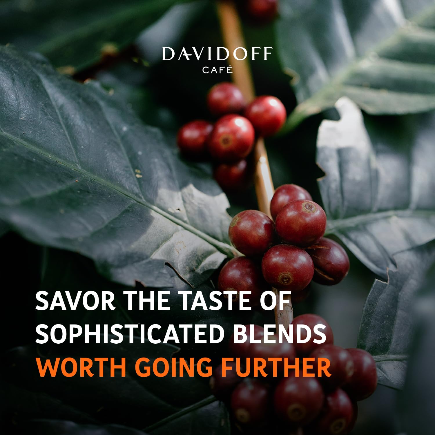 DAVIDOFF Espresso 57 Ground Coffee - Pack of 4-10/12 Intensity - 250 g x 4