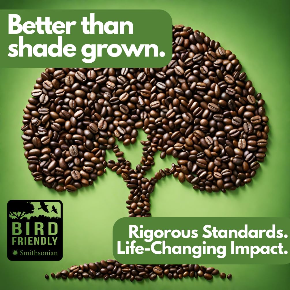 Tomorrow's Coffee Organic, Smithsonian Bird Friendly Certified, Fair Trade, Shade Grown Coffee, Dark French Roast with chocolate flavor | Sustains Amazon Rainforest, Compostable Bag, Eco-Friendly Packaging (1 lb., whole bean)