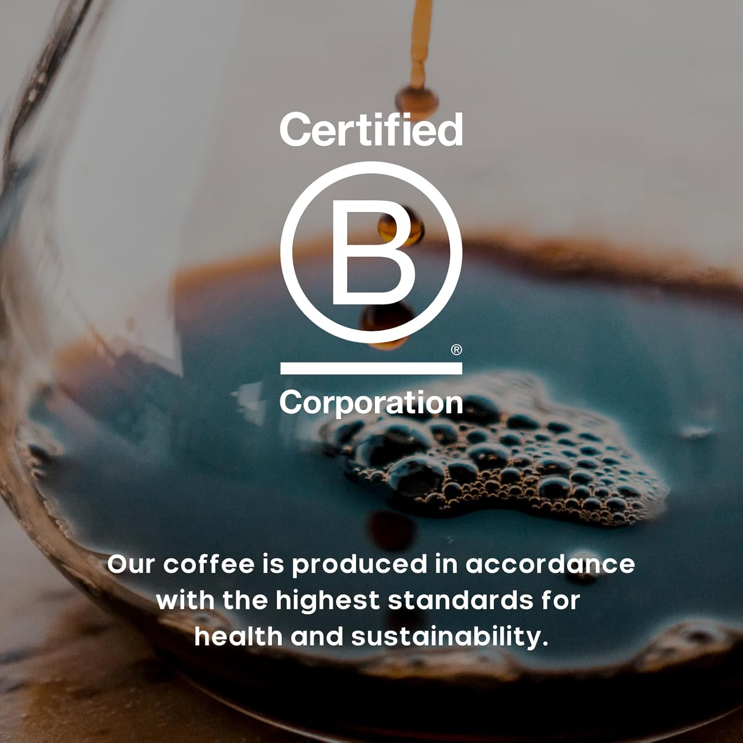 Purity Coffee PROTECT Highest Antioxidant Light-Medium Roast - USDA Certified Organic Specialty Grade Arabica Whole Bean Coffee - Third Party Tested for Mold, Mycotoxins, Pesticides - 12 oz Bag