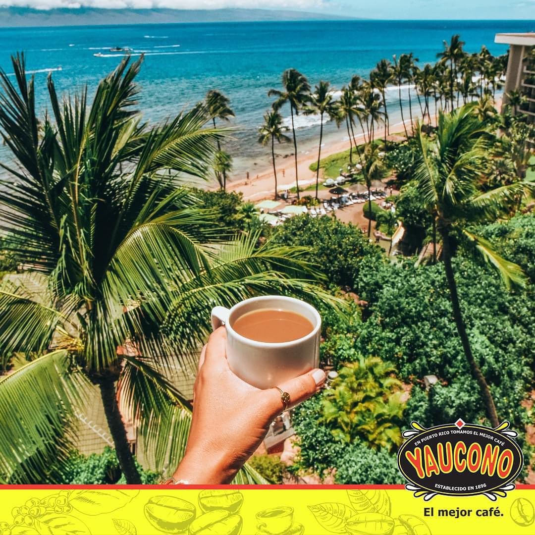 Yaucono Ground Coffee, Arabica, Medium Roast, Puerto Rico, 10 Ounce Can (Pack of 1)