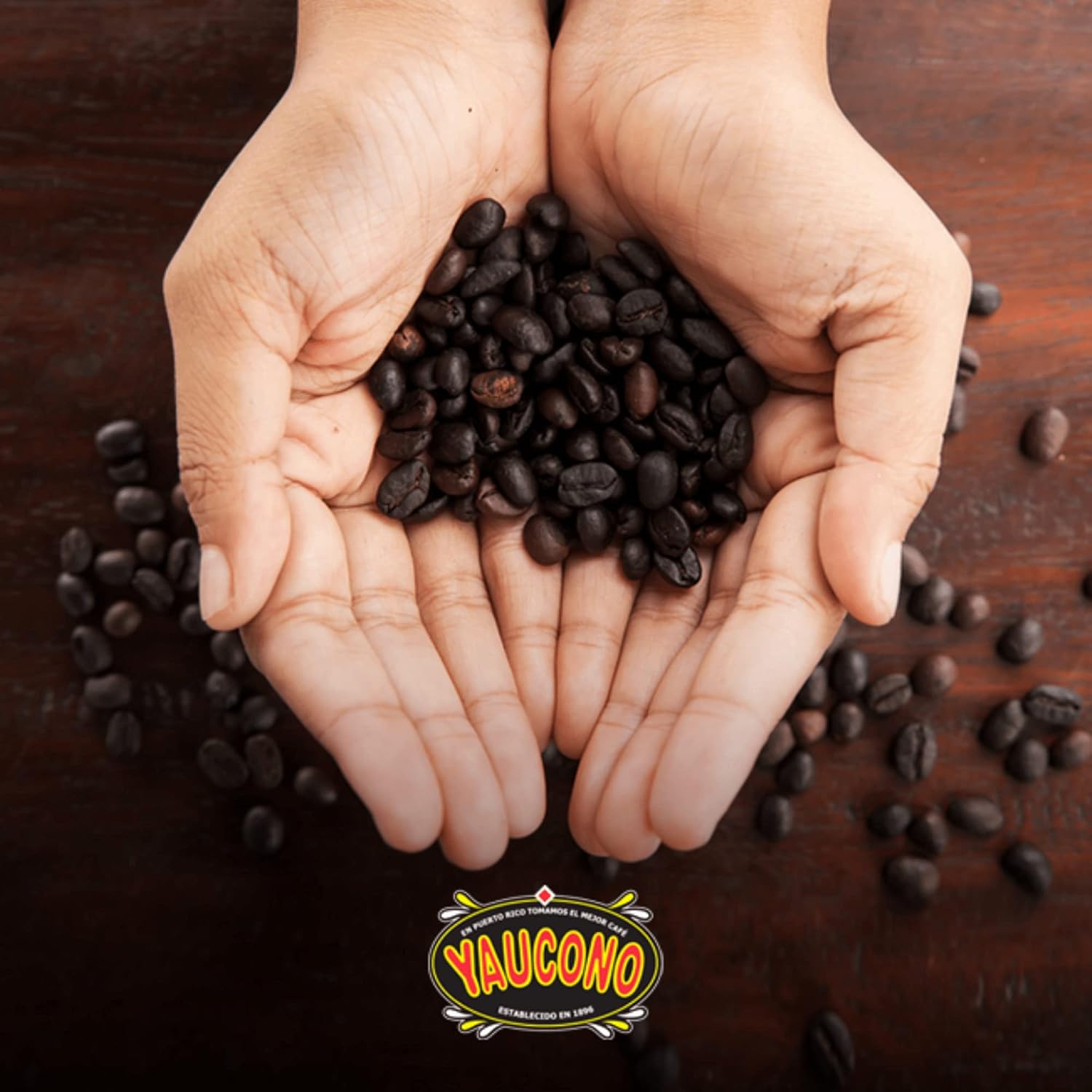 Yaucono Espresso De Oro Ground Coffee Can, Arabica, Dark Roast, Fine Grind, 8.8 Ounce (Pack of 1)