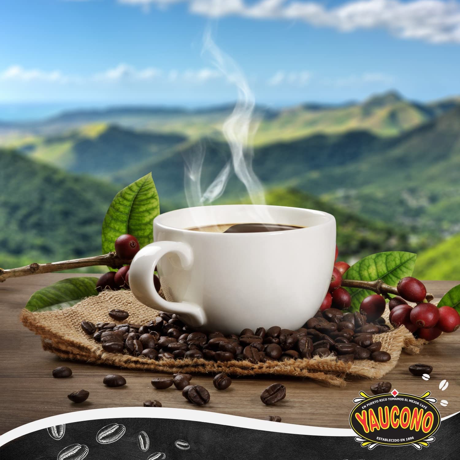 Yaucono Dark Roast Ground Coffee, Puerto Rico, 100% Arabica, 10 Ounce (Pack of 2)
