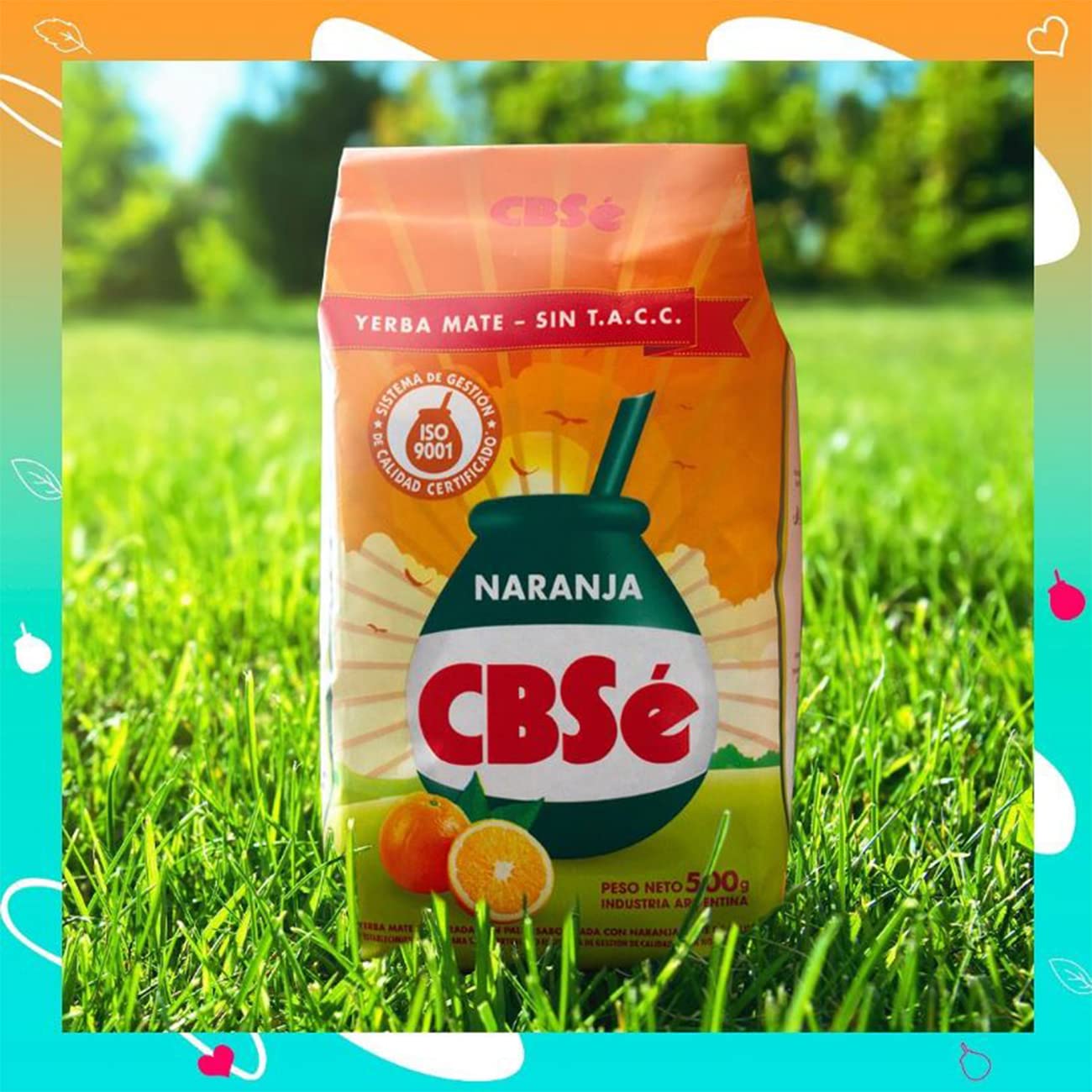 YERBA MATE CBSE ORANGE FLAVOR - SABOR NARANJA 500 GR/1.1 LB (2PACK)