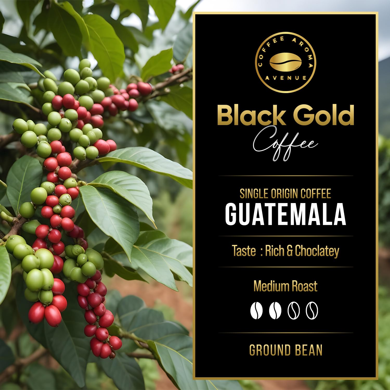 Black Gold – Organic Guatemalan Coffee, Single Origin, 100% Arabica, Medium Roast Whole Bean, Low Acid, Smooth, Chocolatey Flavor – 16 oz Bag