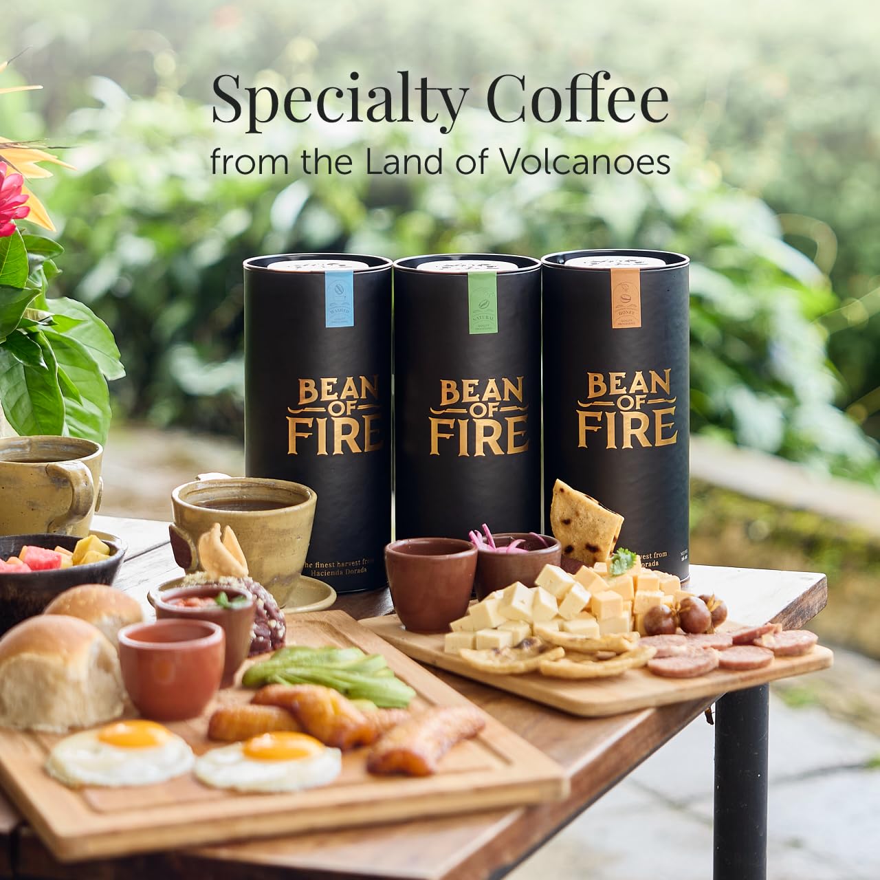Bean of Fire Specialty Ground Coffee Pacamara Honey | 100% Made in El Salvador | Gourmet Quality | Medium Roast | Premium Coffee Gift | Single Origin | 16 oz