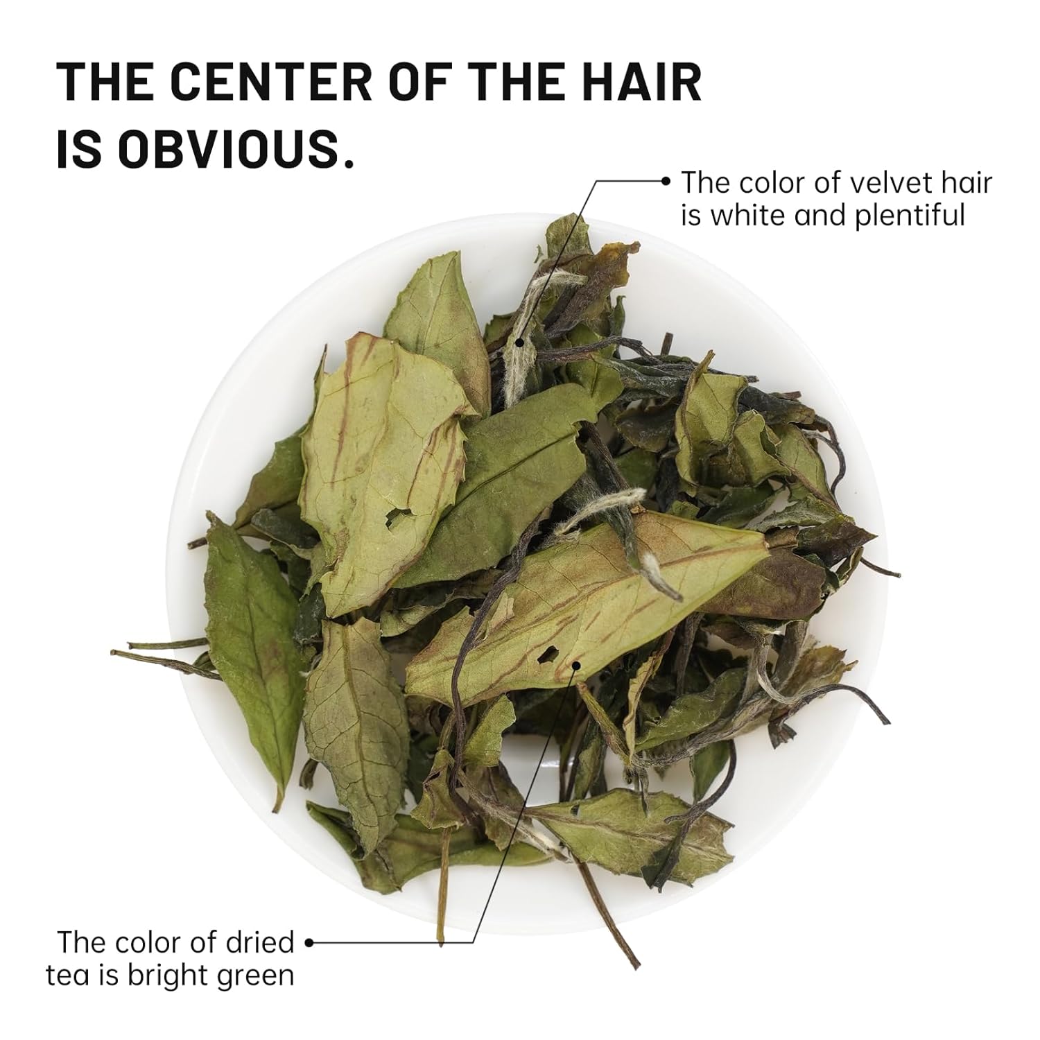 iTeaworld Gongmei White Tea 2024 Spring Harvest - Premium Chinese Tea from Fuding Fujian, Low Caffeine Multiple Steeping, Smooth Mellow Taste - Perfect for Daily Drinking & Relaxation - Ideal for Tea Enthusiasts 1 Pack(1.76oz)