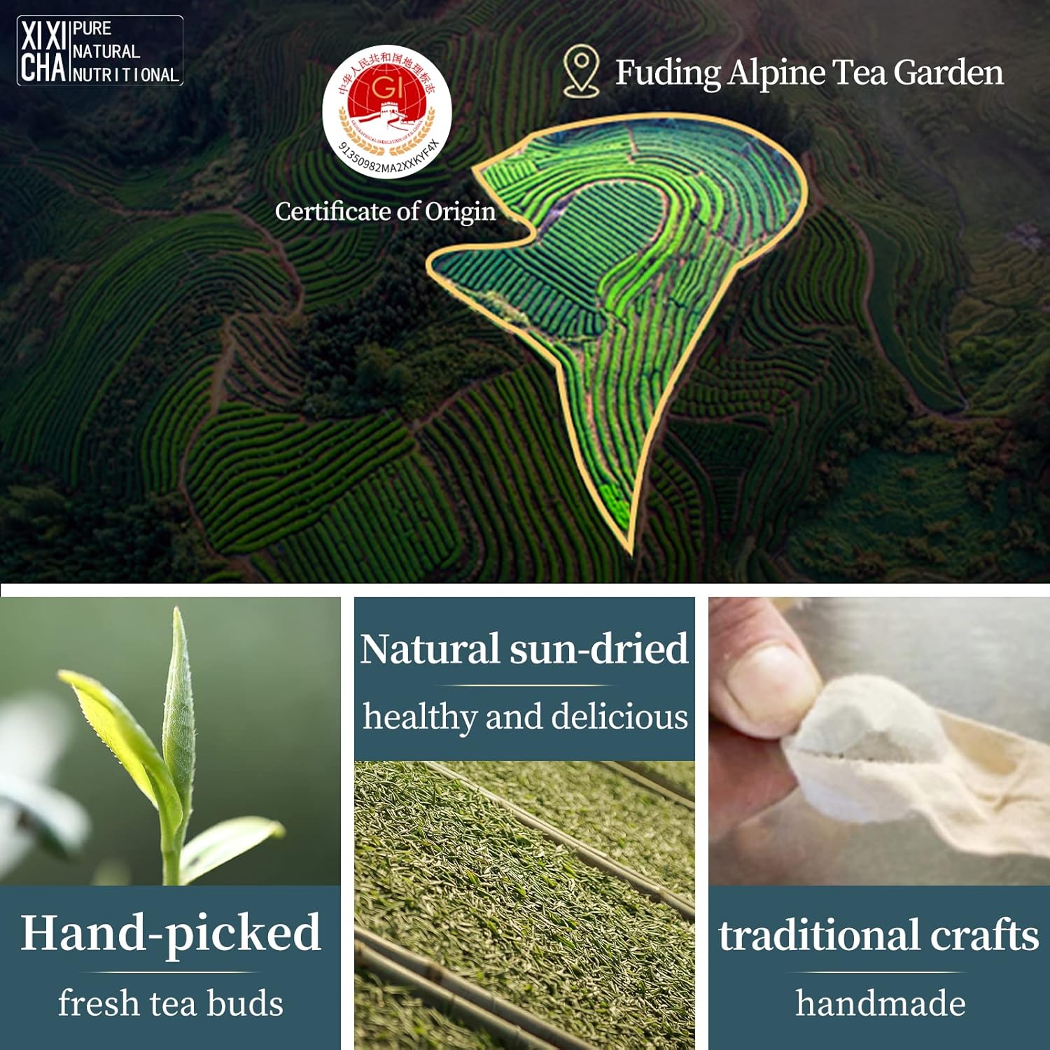 XIXICHA White Tea White Peony Tea 2013 Old White Tea Chinese Tea Fuding Dragon Pearls Tea7oz bai mu dan tea Organic planting-Rich in antioxidants 白茶 白牡丹茶