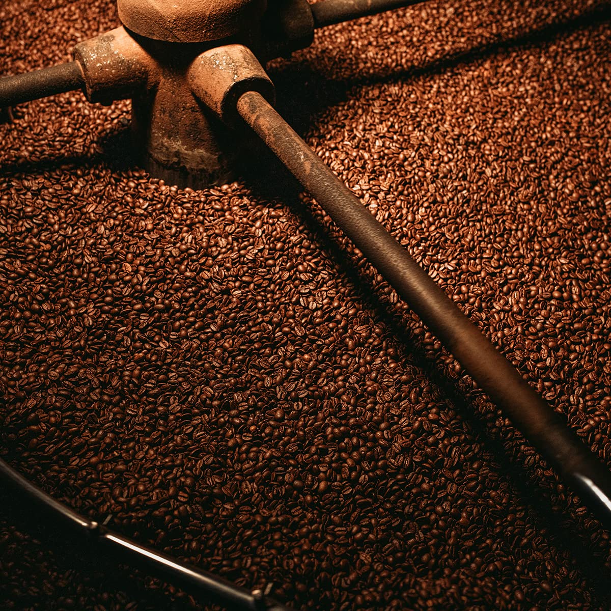 L'americano Filter Ground Coffee/Medium Roast+ 100% Arabica+DECAf/For Pour-over - French Press - Drip Coffee | 8oz/226.8