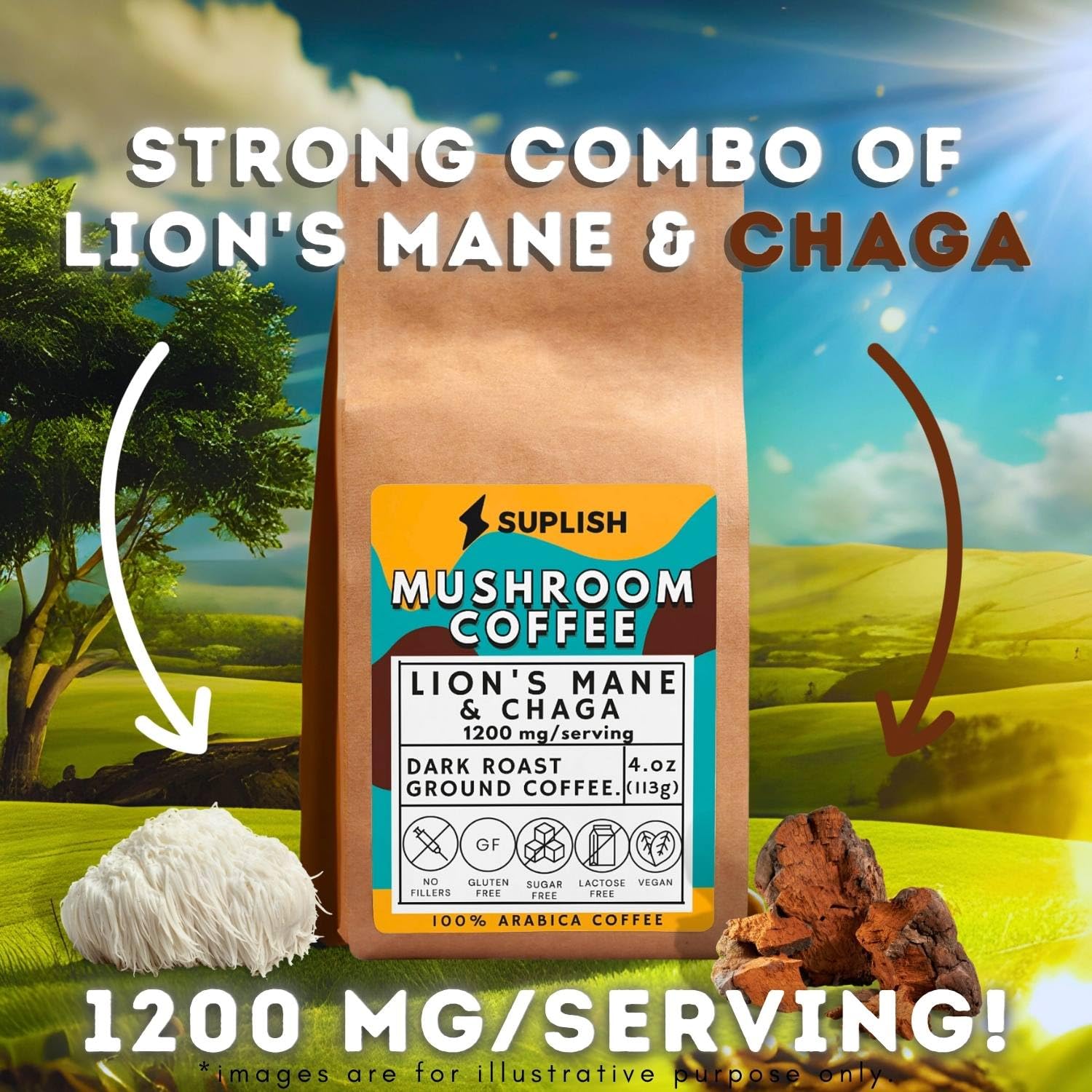 Mushroom Coffee Ground Coffee Dark Roast with Lions Mane Supplement & Chaga - by SUPLISH - 4 oz