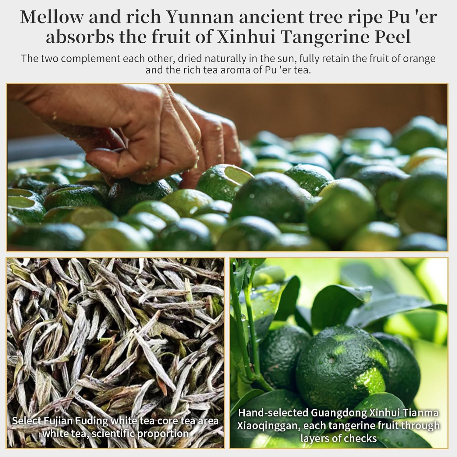 XIXICHA White Tea Premium Tangerine Peel White Tea 9.87oz(280g) Xiao Qing Gan White Tea Xinhui ChenPi White Citrus Tea Fuding White Tea Green Orange Peel 白茶 白茶小青柑 广东新会小青柑 福鼎白茶