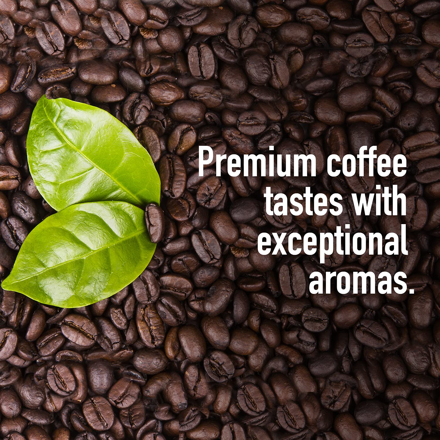 Screen 18 Specialty Grade Premium Kenya AA Ground Coffee, Single Origin, Medium Dark Roast, 1 LB