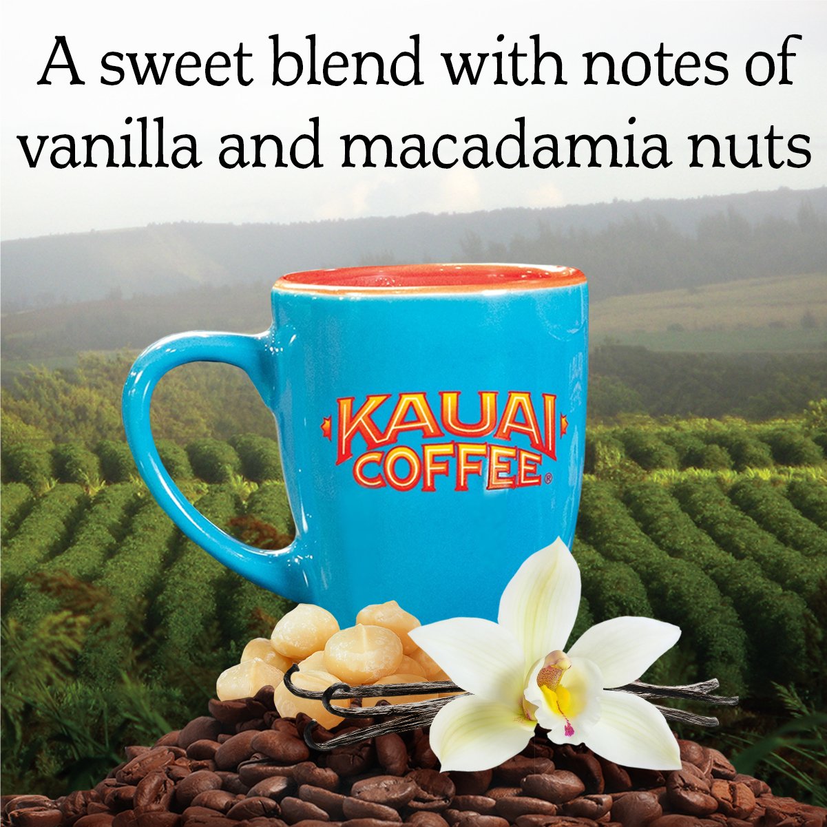 Kauai Hawaiian Ground Coffee, Vanilla Macadamia Nut Flavor - Gourmet Arabica Coffee From Hawaii's Largest Grower, Smooth, Delicious Flavor and Amazing Aroma - 10 Ounce (Pack of 4)