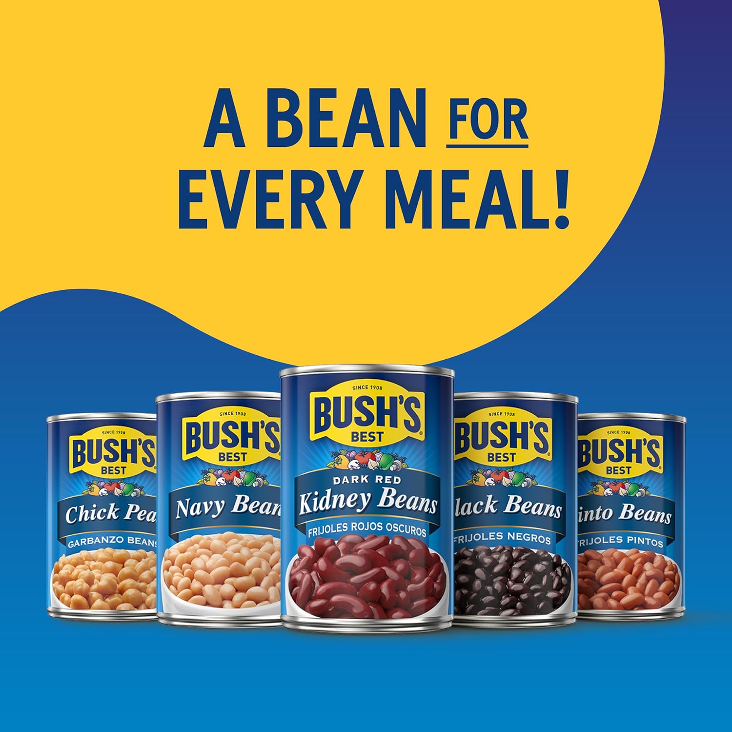 BUSH'S BEST 16 oz Canned Pinto Beans, Source of Plant Based Protein and Fiber, Low Fat, Gluten Free, Great For Soups, Salads and More, (Pack of 12)