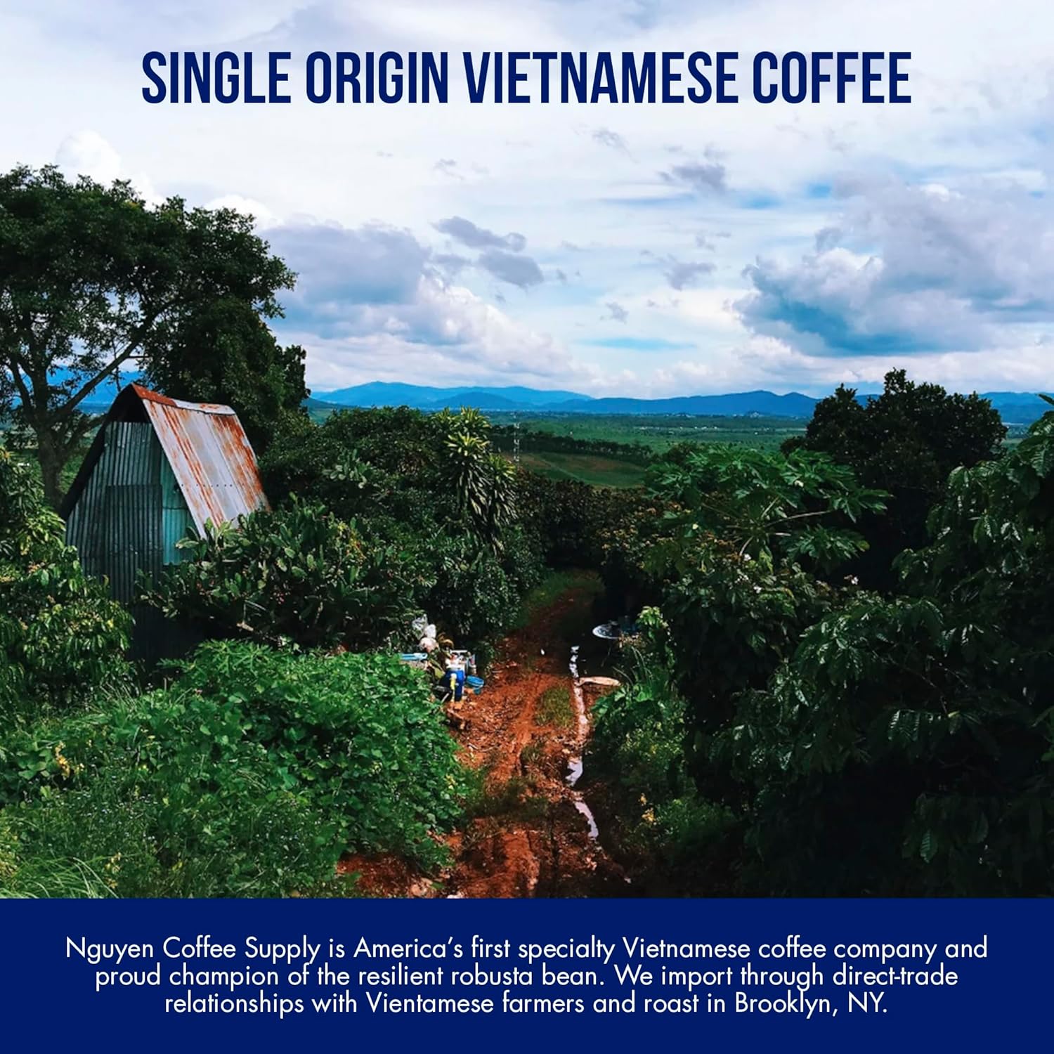 Nguyen Coffee Supply - Dalat Arabica Coffee and Stainless Steel 4oz Phin Filter Gift Set: Dark Roast Premium Ground Coffee [12oz Bag + 1 Filter]