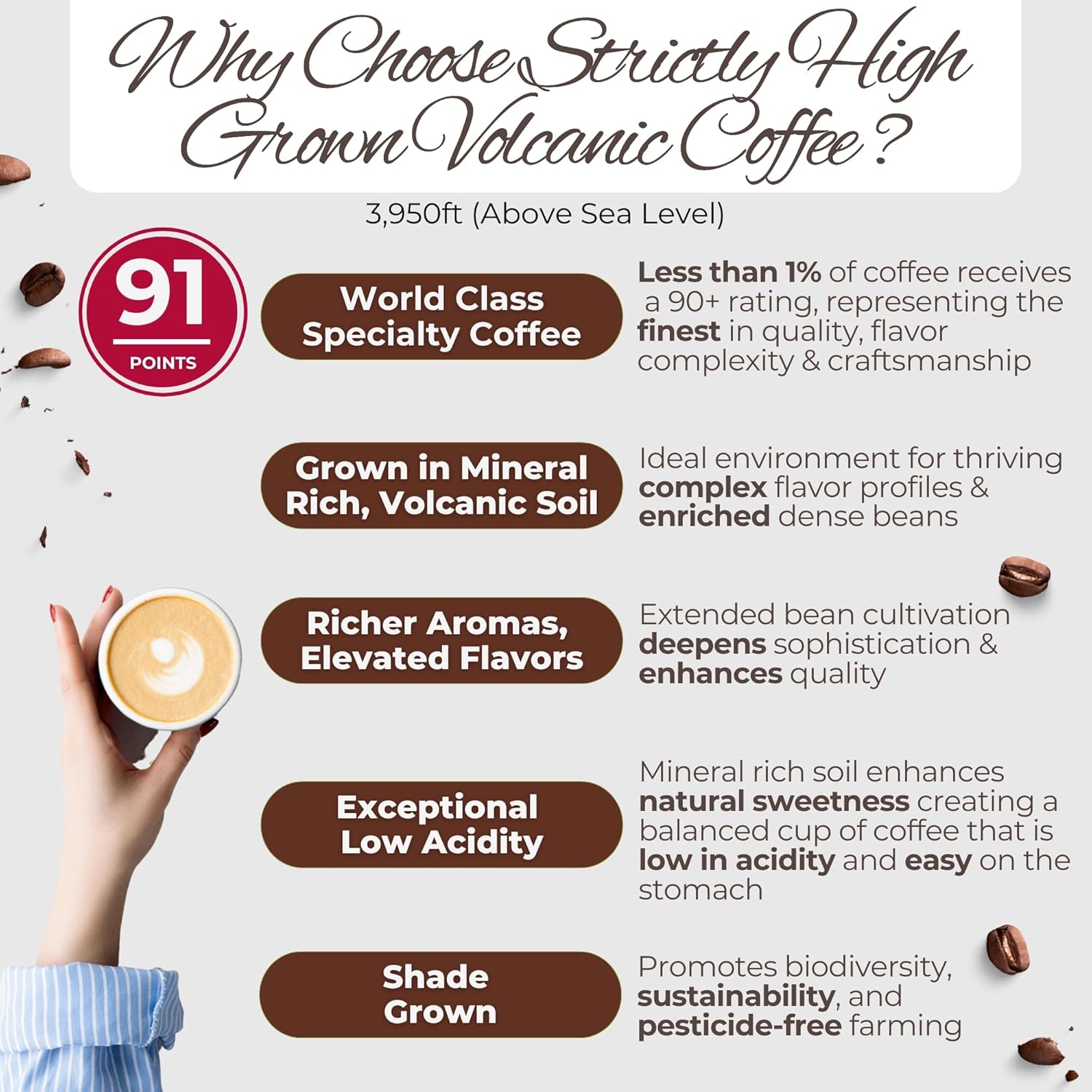 Specialty Volcanic Nicaraguan - Artisan Select Vienna Medium/Dark Roast Coffee - Warm & Balanced, Low Acid, 91 Point, Small Batch Roasted, Farm Direct, 100% Single-Origin, Santa Lucia, Ground, 16oz