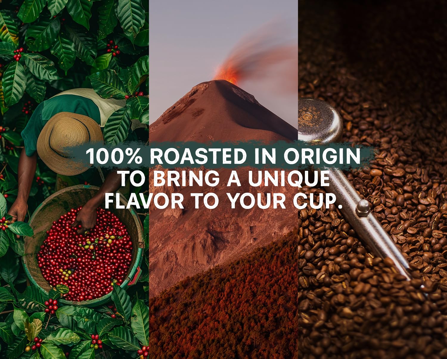 COFFEE 46 HUNDRED® Robust Artisanal Blend Ground Bean Specialty Coffee from Guatemala - 100% Arabica Single Origin - Dark Roast - 311g/11oz - High Altitud Coffee - Grown at 4,600 ft