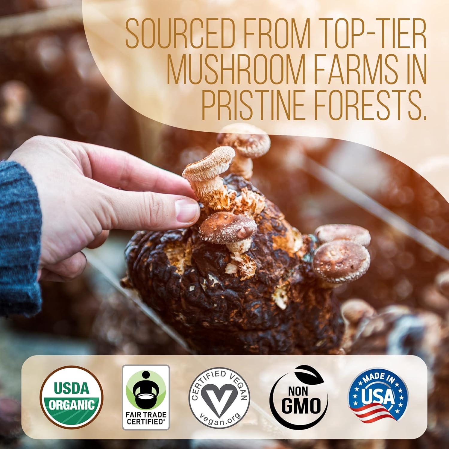 La Republica Ground Mushroom Coffee, Organic Fair Trade Arabica with Superfood Mushrooms (Medium Roast, 60 Servings)
