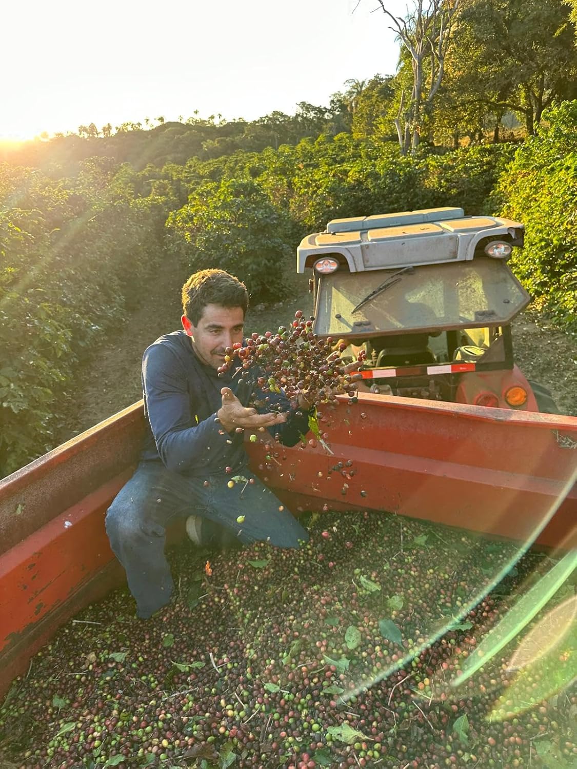 Farm to Cup, Family-Owned Coffee – Jose Gourmet – Medium Roast Ground Coffee Single Origin Brazilian Coffee – Direct Trade – 12oz Bag