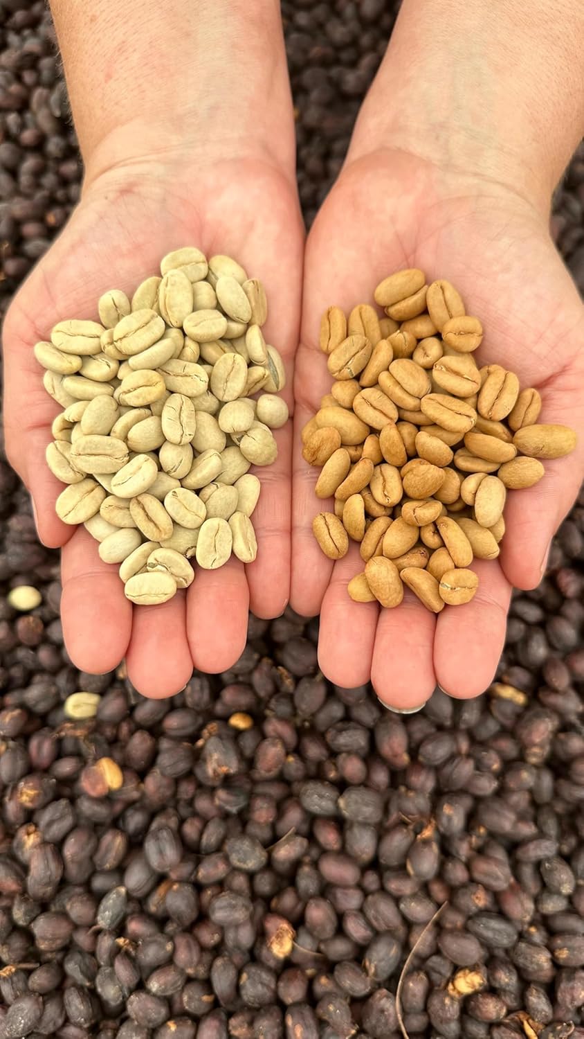 Mesa de los Santos Ground Colombian Gourmet Organic Coffee Specialty Bourbon 12 oz
