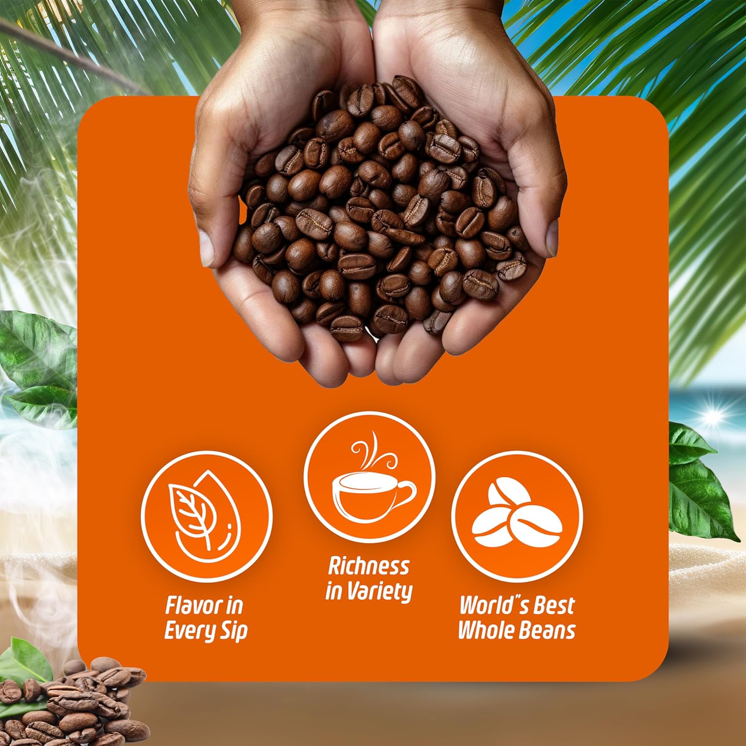 South Beach Epic Java Twilights Premium Gourmet Medium Roast | Pre-Ground Coffee 100% Arabica | Ethically Sourced Central American Single-Origin | 12 oz - Smooth Taste Ready to Brew
