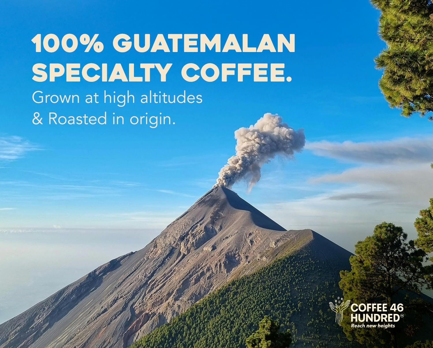 COFFEE 46 HUNDRED® Robust Artisanal Blend Ground Bean Specialty Coffee from Guatemala - 100% Arabica Single Origin - Dark Roast - 311g/11oz - High Altitud Coffee - Grown at 4,600 ft