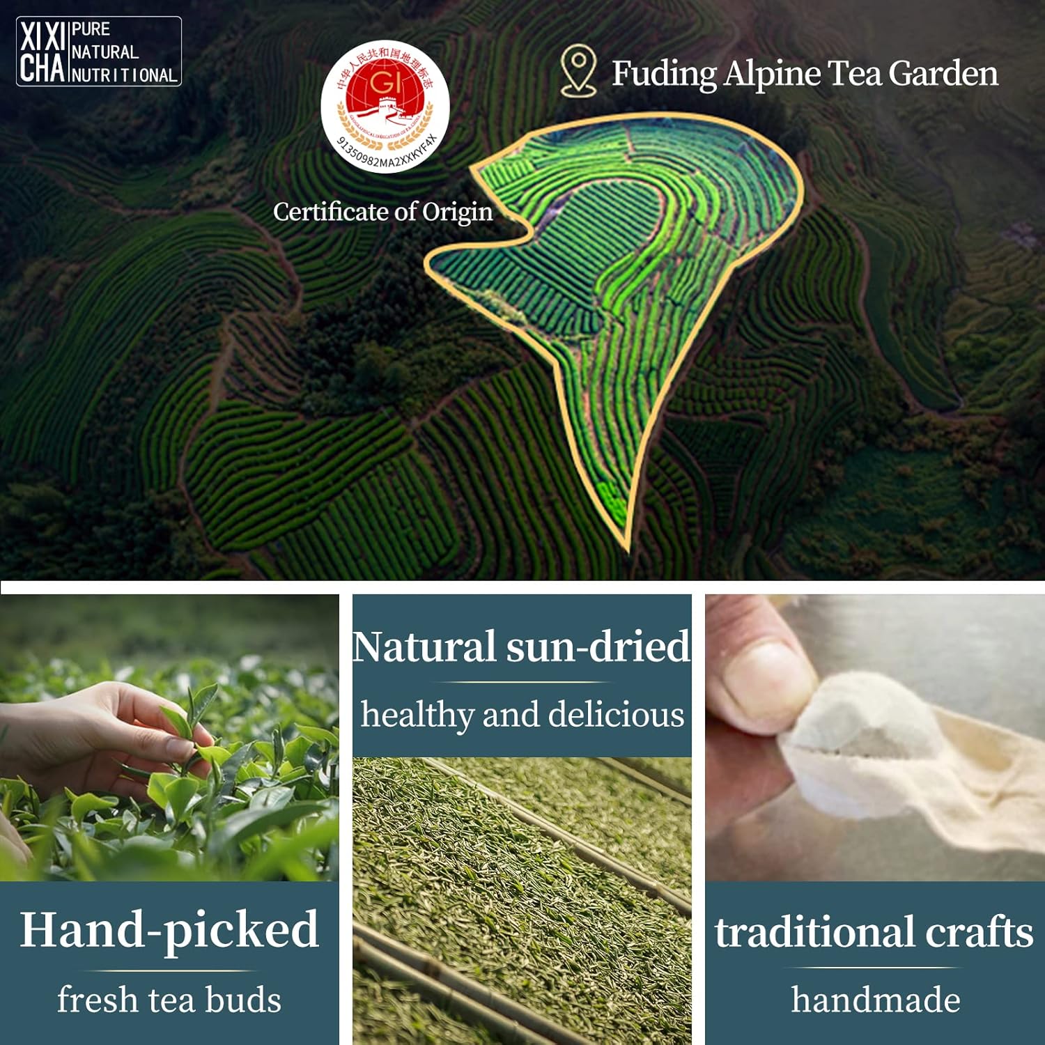 XIXICHA White Tea 2013 Shou Mei Dragon Pearls Tea FudingWhiteTea Balls Tea Chinese White Tea 7oz Organic planting-Rich in antioxidants 白茶 寿眉龙珠老白茶