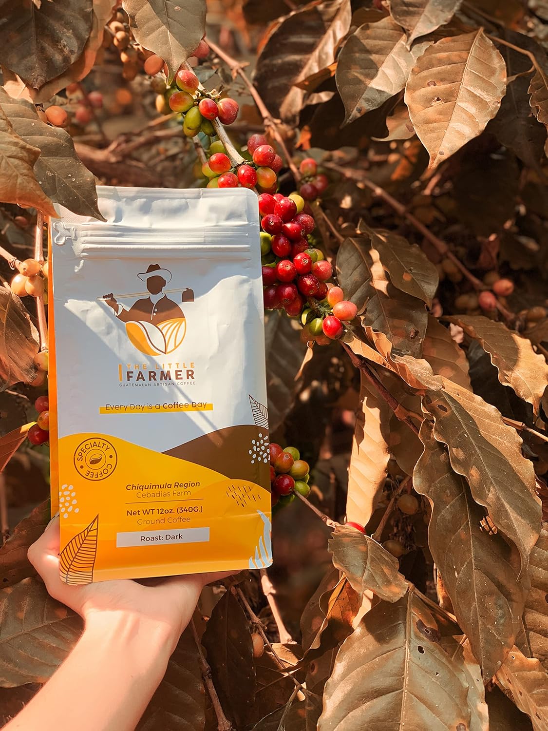 The Little Farmer Coffee, Guatemalan Ground Coffee, High Land Coffee [12 Oz.] The World's finest & smoothest Coffee - Artisan, Medium Roast, Low Acidity, Highland Specialty Coffee