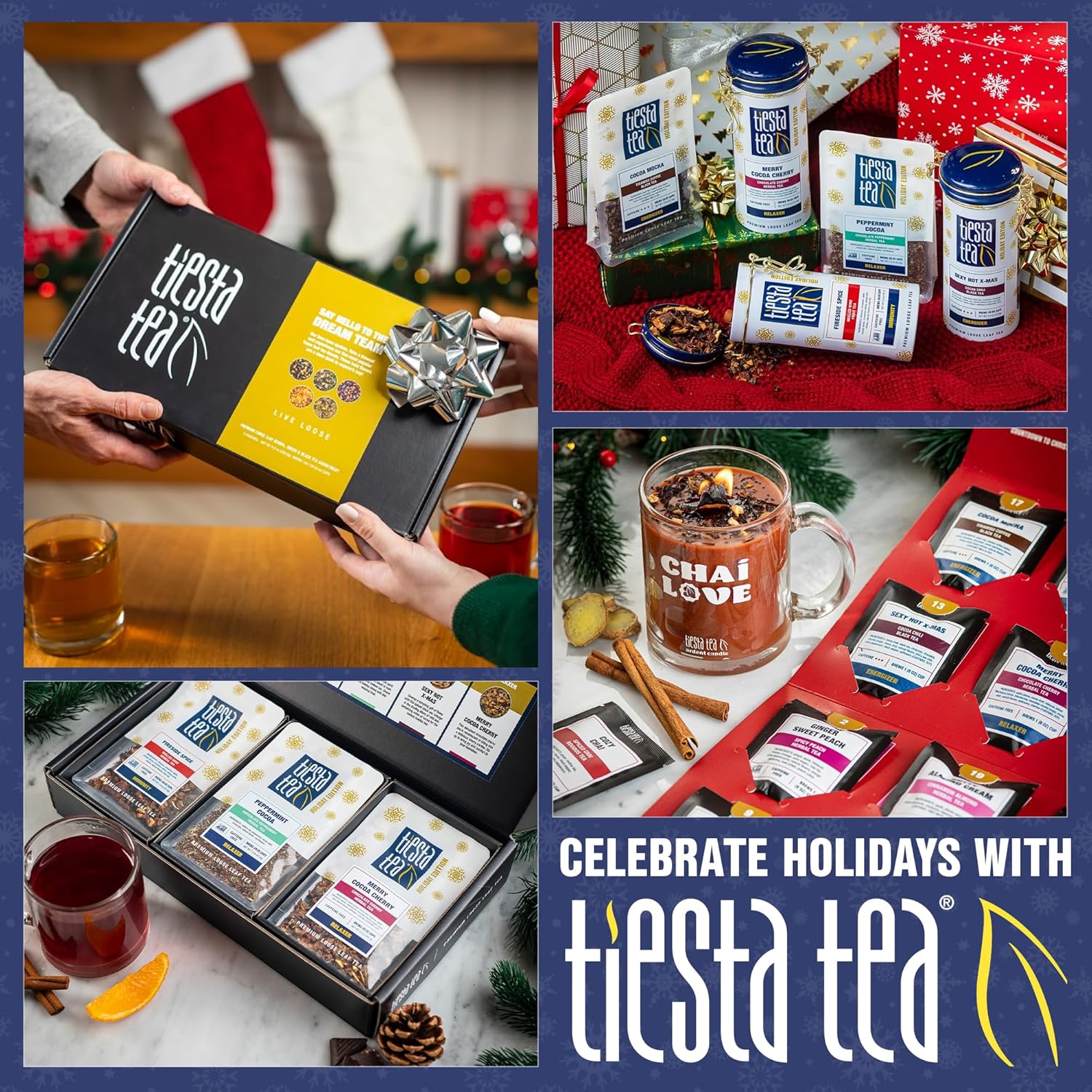 Tiesta Tea - Ultimate Live Kit | Loose Leaf | Tea Starter Kit with High to Non-Caffeinated Blends | Hot & Iced Brews | Includes Black, Green, Herbal Sample Bags and 16oz Bottom Dispensing Infuser