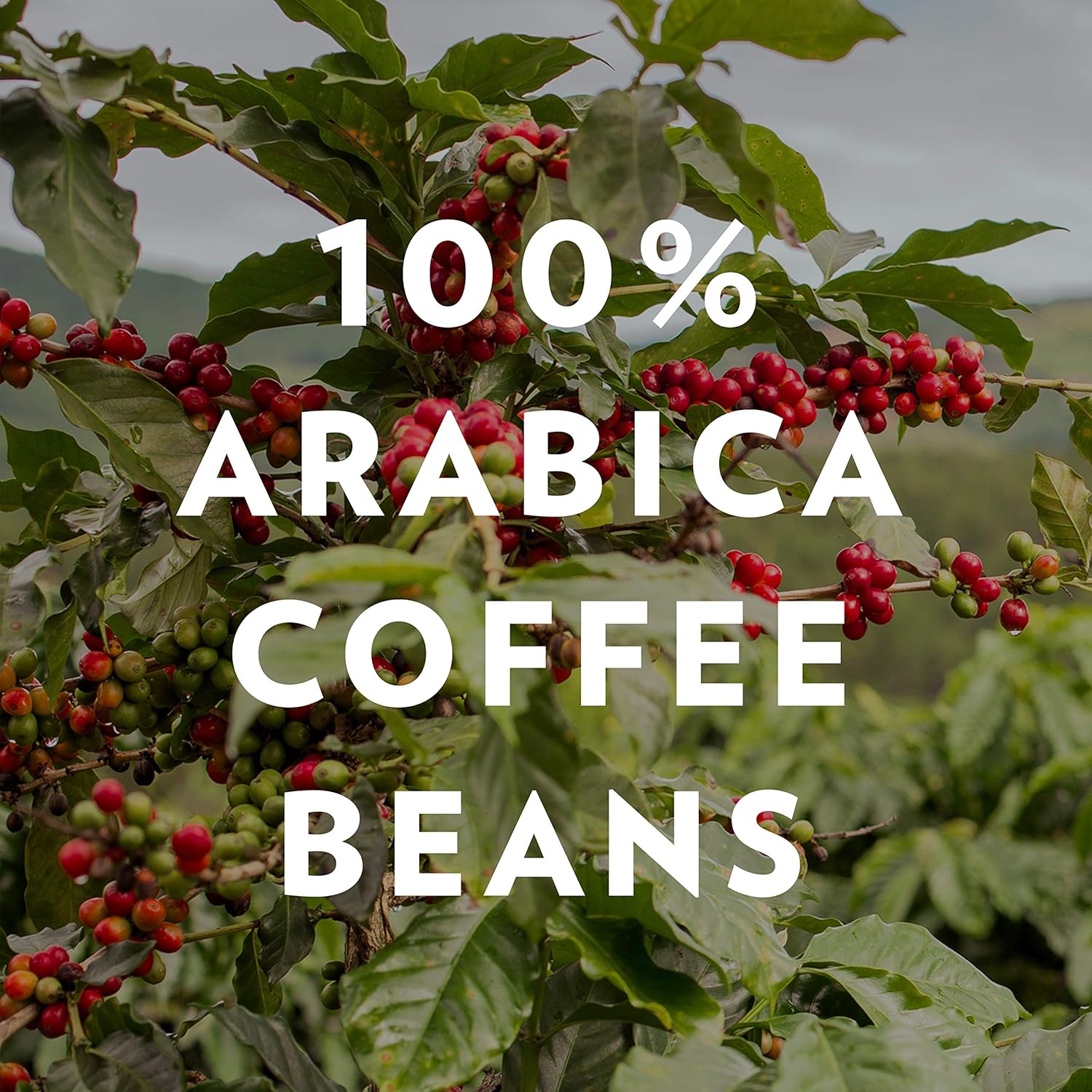 Community Coffee Breakfast Blend Medium Roast Premium Ground 32 Oz Bag, Medium Full Body Smooth Bright Taste, 100% Select Arabica Coffee Beans