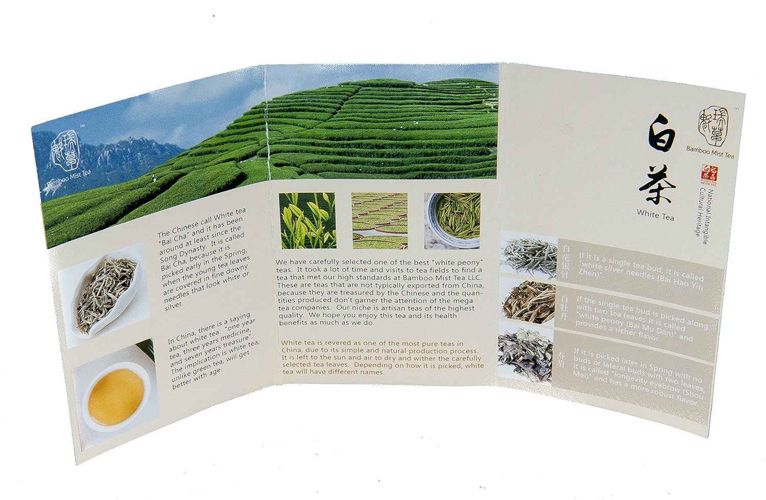 Rare, Aged 2012 White Tea -Bai Mu Dan style from Fujian, China